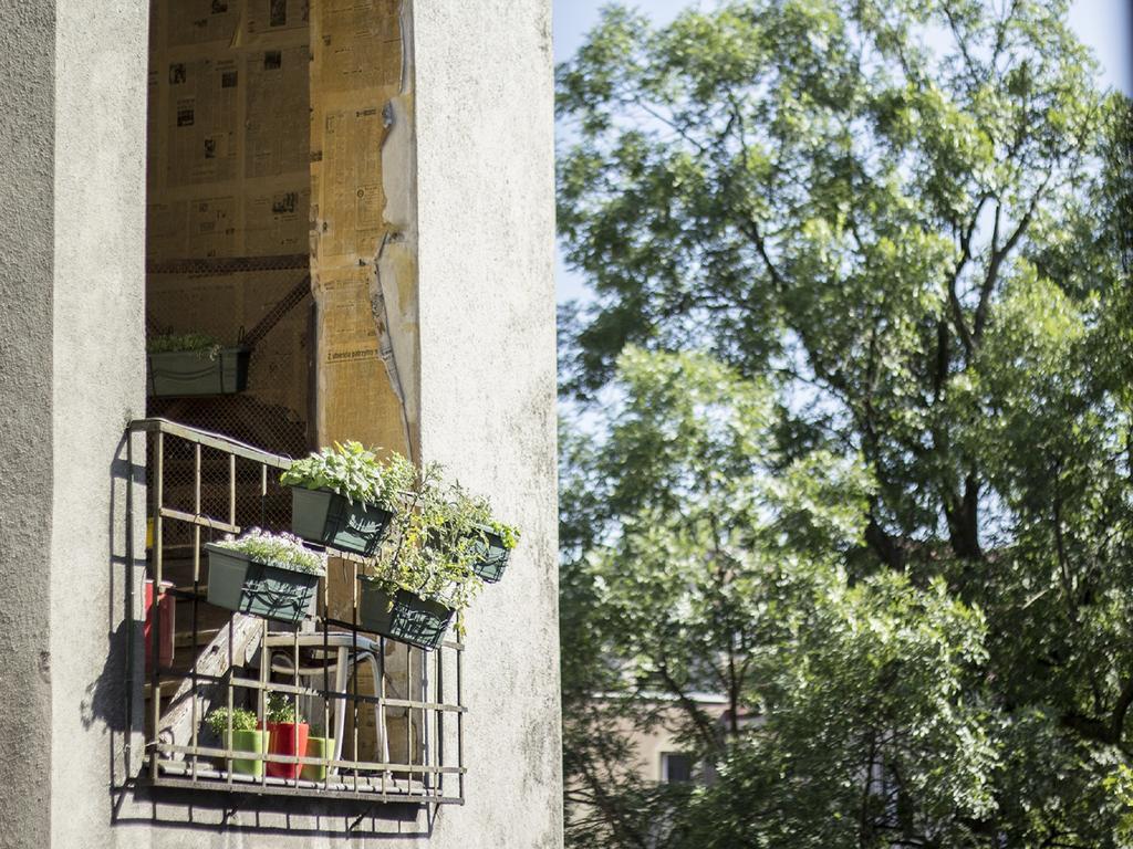 Blueberry Hostel - Krakow — Photos 1